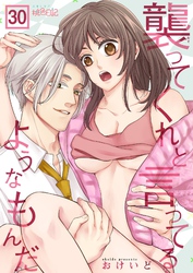 襲ってくれと言ってるようなもんだ 30