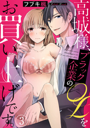 高城様、ブラック企業のOLをお買い上げです。 3巻