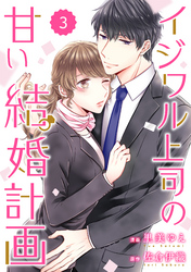 comic Berry’sイジワル上司の甘い結婚計画3巻