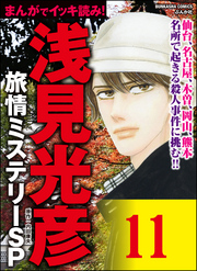 浅見光彦ミステリーSP（分冊版）　【第11話】