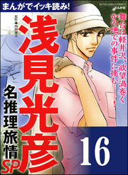 浅見光彦ミステリーSP（分冊版）　【第16話】