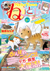 ねこともvol.38