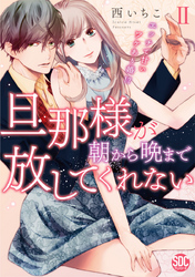 旦那様が朝から晩まで放してくれない～エッチで甘いワケあり婚！？【コミックス版】【電子版限定特典付き】 2巻