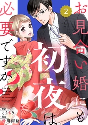 comic Berry’sお見合い婚にも初夜は必要ですか？2巻