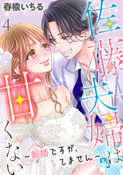 佐藤夫婦は甘くない～新婚ですが、シてません～ 4