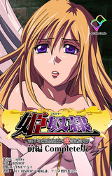 姫奴隷【フルカラー】