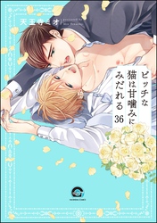 ビッチな猫は好奇心に勝てない（分冊版）　【第36話】