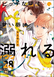 ビッチな猫は好奇心に勝てない（分冊版）　【第28話】