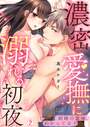 濃密愛撫に溺れる初夜～結婚の意味、わかってる？(2)