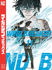 ＷＩＮＤ　ＢＲＥＡＫＥＲ（１１）