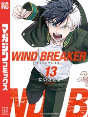 ＷＩＮＤ　ＢＲＥＡＫＥＲ（１３）