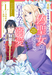 王妃になる予定でしたが、偽聖女の汚名を着せられたので逃亡したら、皇太子に溺愛されました。そちらもどうぞお幸せに。（コミック） 分冊版 26