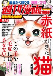 週刊漫画ＴＩＭＥＳ
