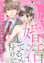 私、婚活してるんですけど！？～エリート御曹司がなぜか離してくれないワケ～3