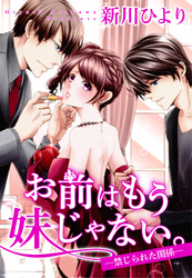 お前はもう妹じゃない。 ―禁じられた関係― 5