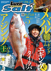 ルアーマガジンソルト2018年5月号