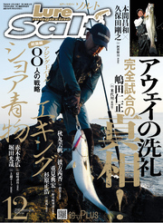 ルアーマガジンソルト2018年12月号