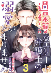 過保護なエリート弁護士の溺愛がとまりません【分冊版】3話