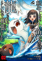 【分冊版】転生したら小魚だったけど龍になれるらしいので頑張ります 第2話