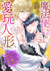 魔法使いの愛玩人形　異世界に落ちたOLは愛と魔力を注がれる 9