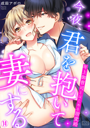 今夜、君を抱いて妻にする～年上御曹司とはじめる溺愛婚(14)