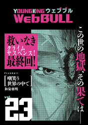 WebBULL 23号