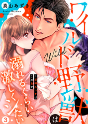 ワイルド野獣は溺れるくらい激しくシたい～求婚エッチはこの島で３