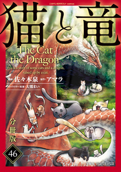 猫と竜【分冊版】46