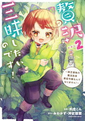 贅沢三昧したいのです！　～貧乏領地の魔法改革 悪役令嬢なんてなりません！～２【電子書店共通特典イラスト付】