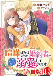 喧嘩ばかりだった婚約者がいきなり溺愛してきます【合冊版】15