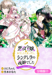 悪役令嬢に転生したと思ったら、シンデレラの義姉でした ～シンデレラオタクの異世界転生～【分冊版】 17巻