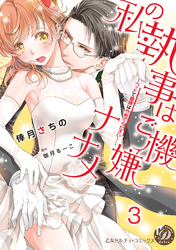 私の執事はご機嫌ナナメ～ベッドで眼鏡はやめてください！～【分冊版】3