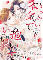 【特装版】もっかい本気で抱いていい？～再会Sexは甘くて苦い～（下）【電子限定おまけ付き】