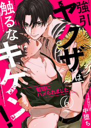 強引ヤクザは触るなキケン！～若頭にハメられました６