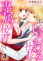 私はいじわる社長の専属秘書  豪華版 【豪華版限定特典付き】 3巻