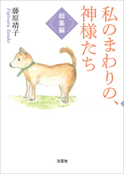 私のまわりの、神様たち 総集編