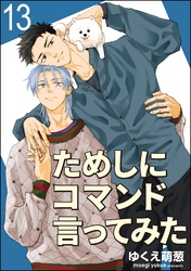 ためしにコマンド言ってみた（分冊版）　【第13話】