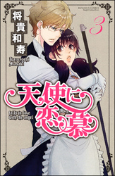 天使に恋慕　3巻