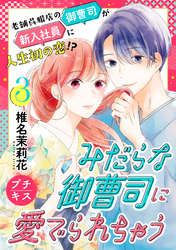 【期間限定　無料お試し版】みだらな御曹司に愛でられちゃう　プチキス（３）