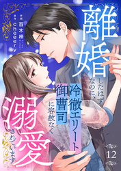 離婚したはずなのに、冷徹エリート御曹司に容赦なく溺愛されています１２