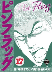 ピンフラッグ 17