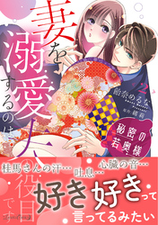 秘密の若奥様　妻を溺愛するのは夫の役目です ２