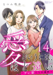 愛というには、ほど遠い～サレ妻たちの選択～ 14