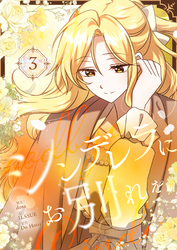 シンデレラにお別れを 3