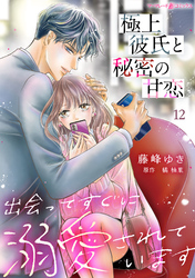 極上彼氏と秘密の甘恋～出会ってすぐに溺愛されています～【分冊版】12話