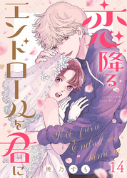恋降るエンドロールを君に（１４）