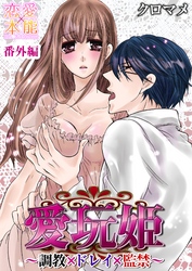 愛玩姫～調教×ドレイ×監禁～ 番外編