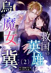 救国の英雄は烏の魔女を冀う(2)