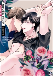 高嶺の義弟特典小冊子