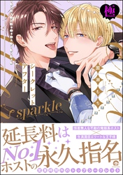 シークレットアフター sparkle【極】